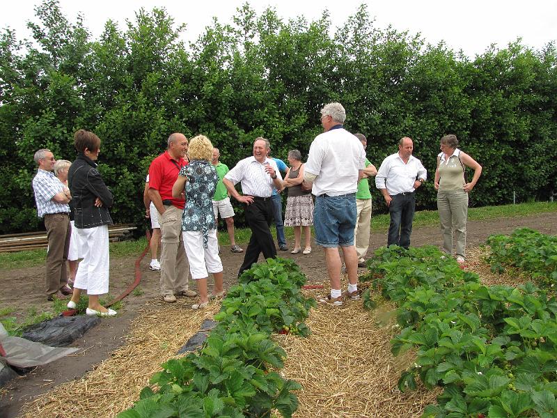 Bezoek aan de Fam. Krijnen, deze streek is bekend voor de aardbeienteelt en wat smaakte ze goed (115).JPG